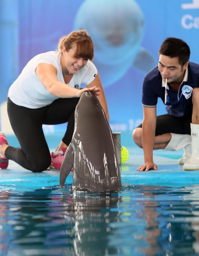 始终保持着 始终保持着