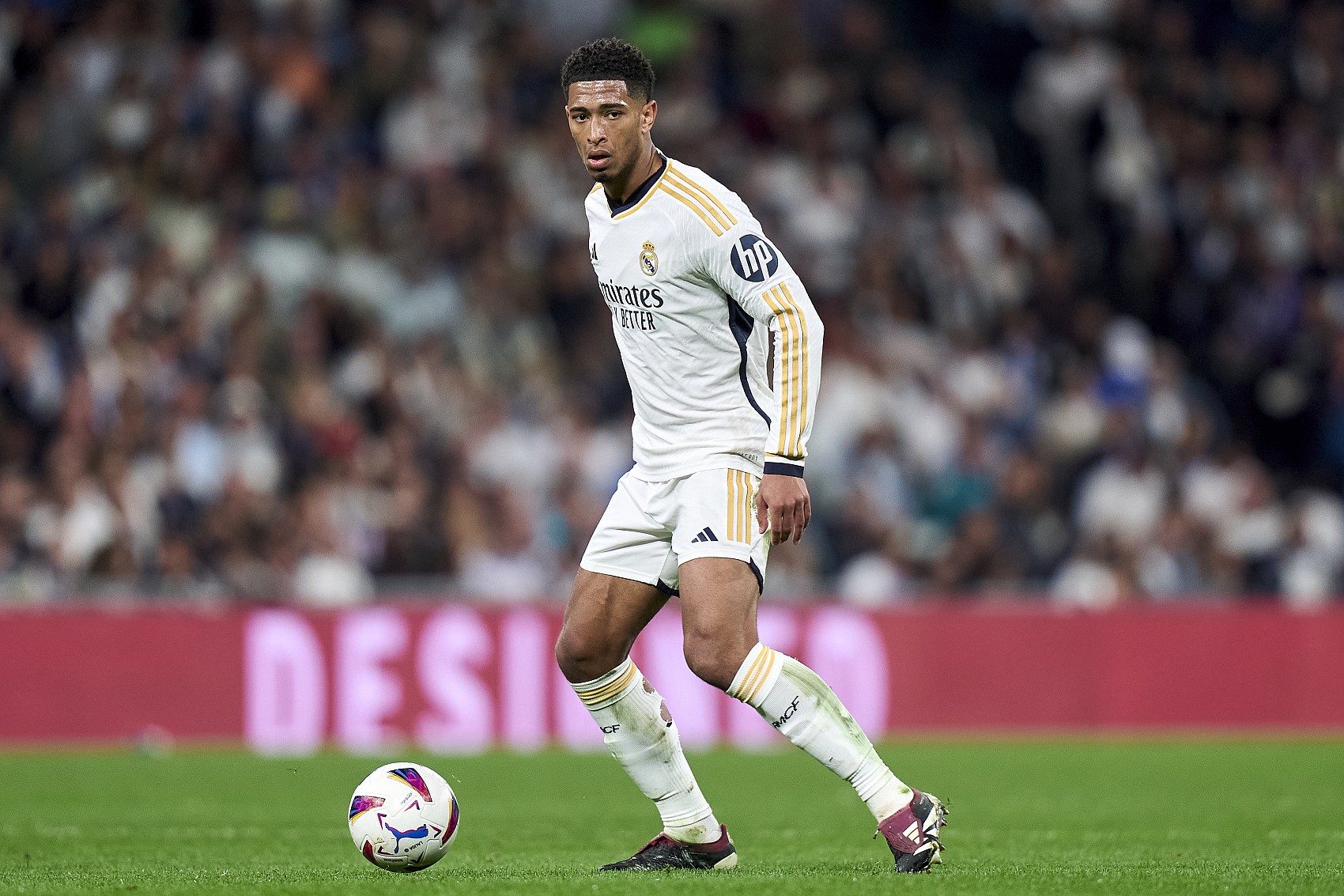 新的領導人 新的領導人