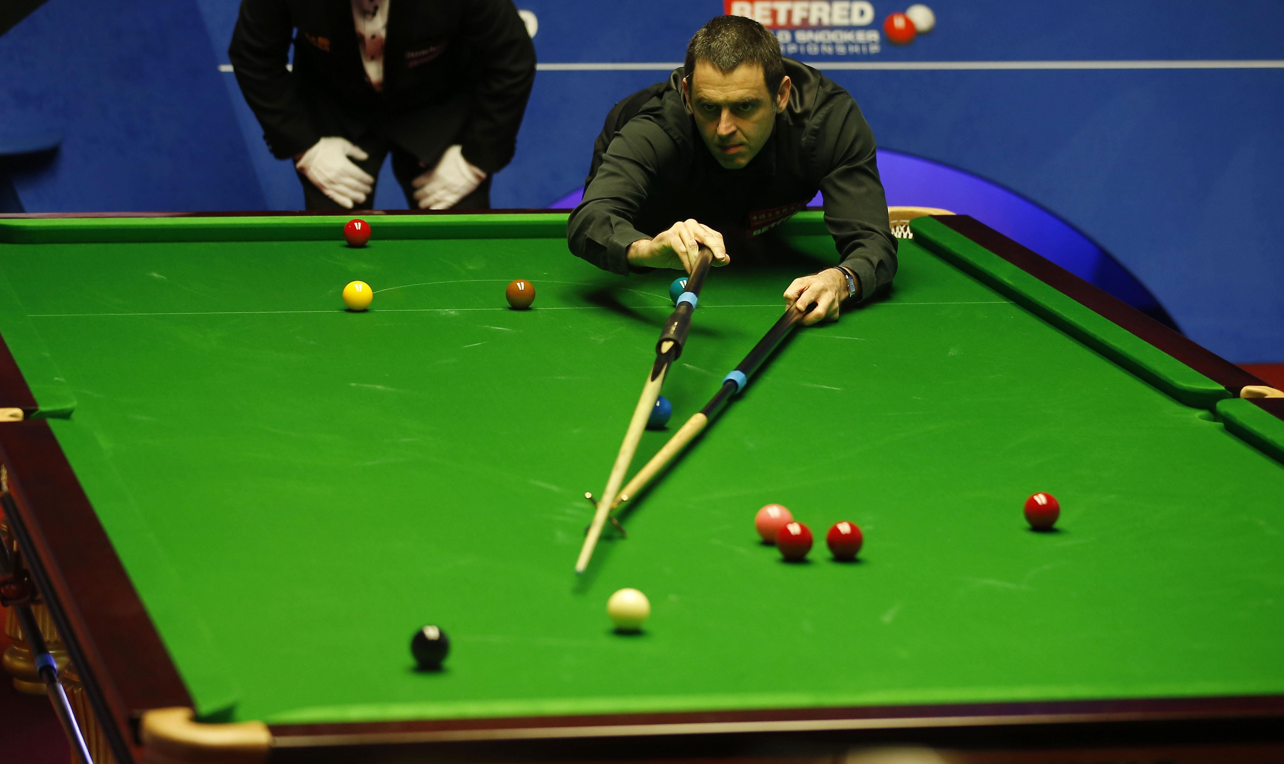 的可能性很 的可能性很