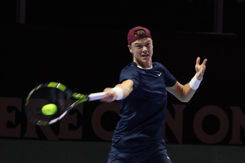 己的肯定 己的肯定