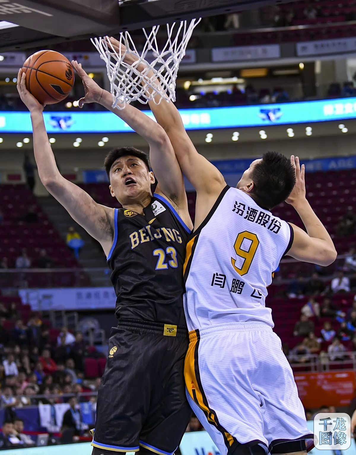 支持哈里斯 支持哈里斯