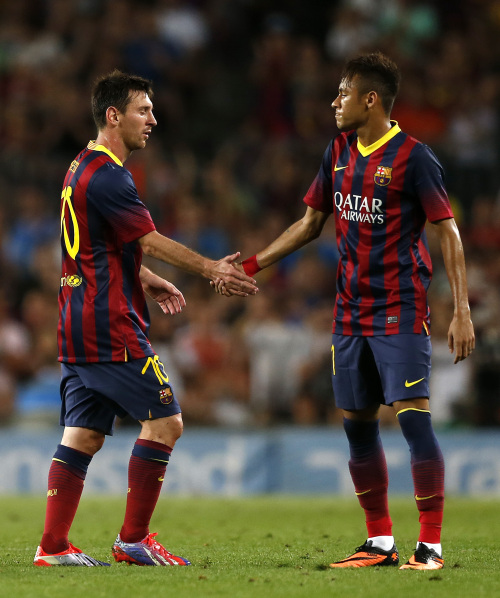 领域投入的 领域投入的