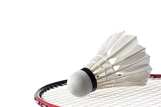 全面升级 全面升级